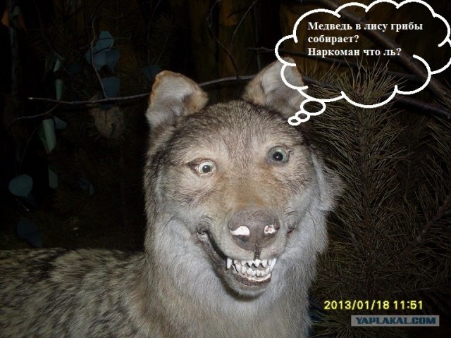 Воображение, что ты делаешь?!
