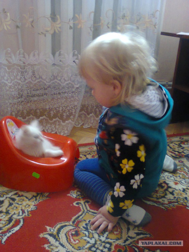 Доказательства того, что детям