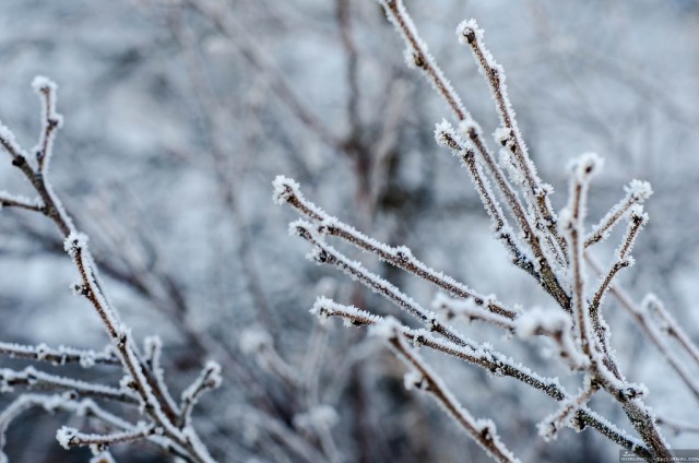 Колыма: первая корюшка 2016, как это было...