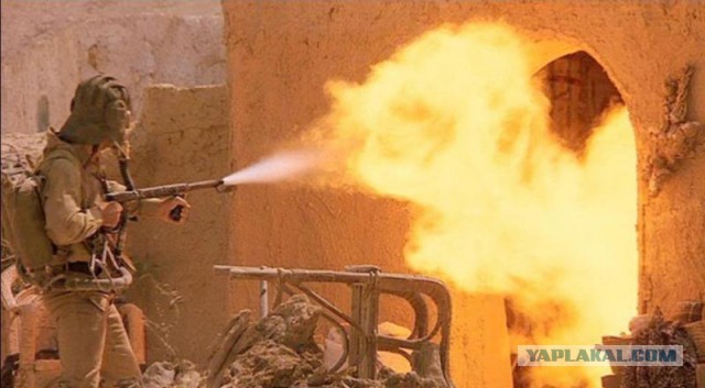 Полиция Берлина ответила на новости об изнасилован