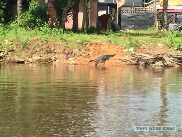 Самостоятельное путешествие в Шри-Ланку