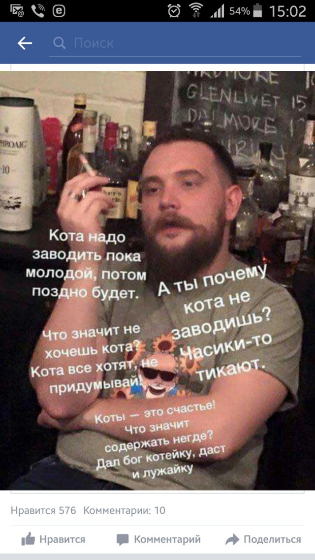 21 преимущество жизни с котом