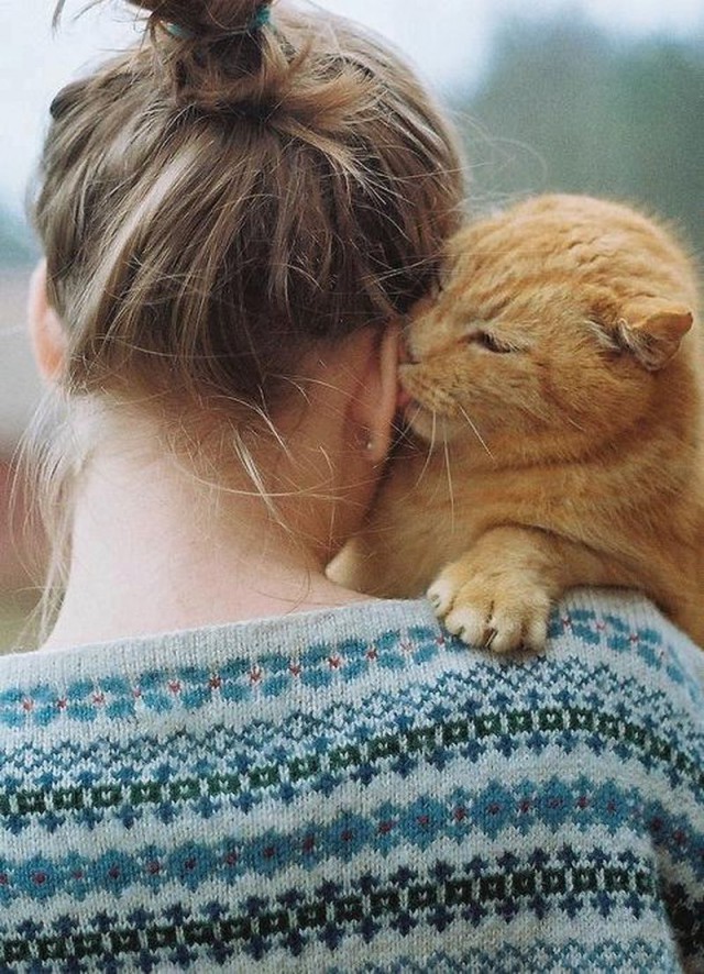 Демы к котовторнику!