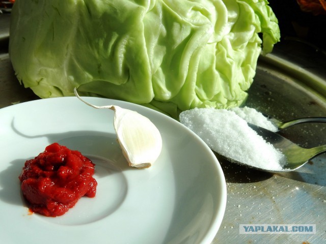 Мировая кулинария. День повара