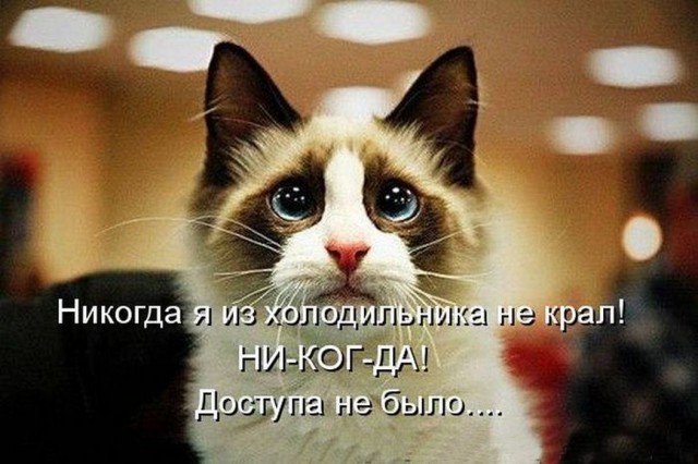 Картинки из инета