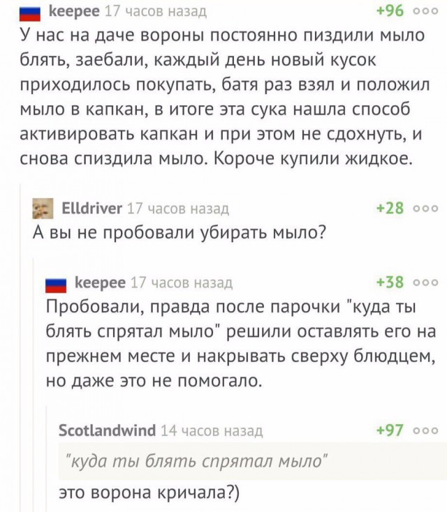 Ужасы и приколы из соцсетей 18+