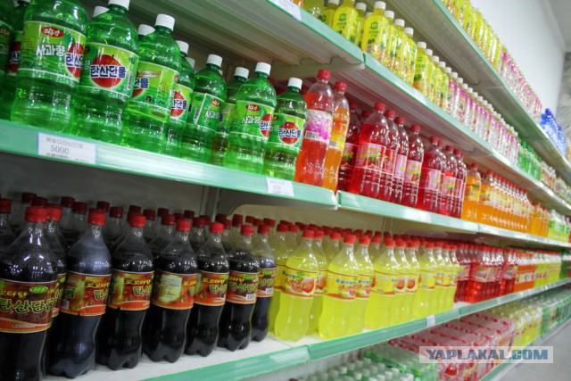 Пламенный репортаж телевидения КНДР о начале священной войны с американскими сумасбродами