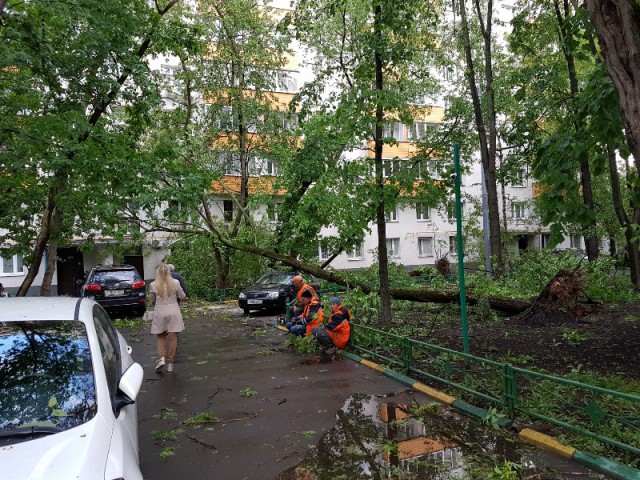 В Москве ураган!