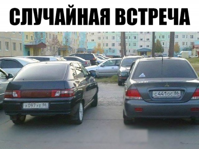 Смешные картинки