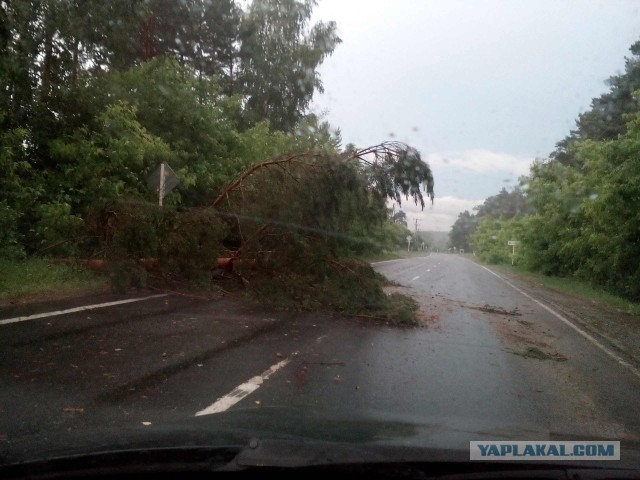 Последствия урагана на юге Тюменской области. Заводоуковск 18.06.2017