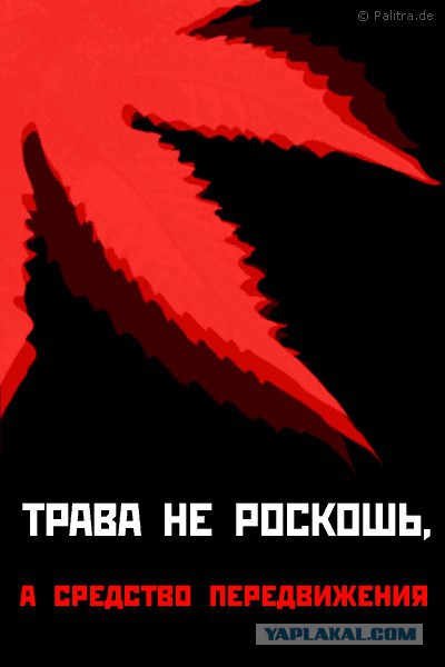 Путешественник во времени