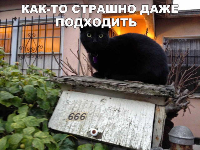 Нестандартный юмор