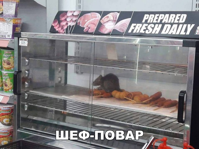 Прикольные картинки обо всем