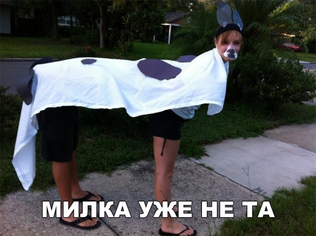 Прикольные картинки абавсём