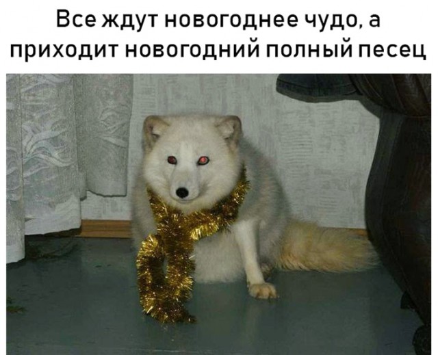 Не очень адекватный юмор