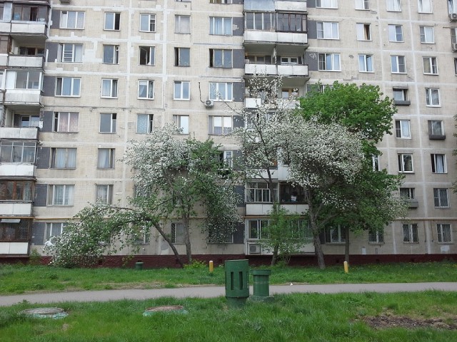 Родил-посадил!