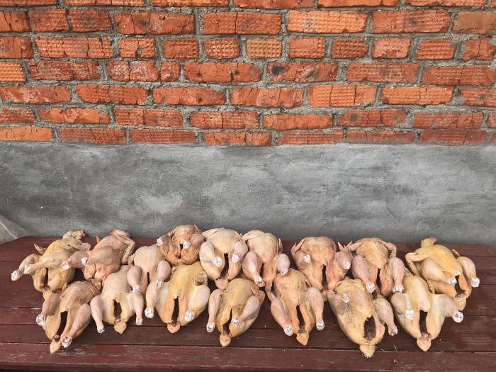 Дачный курятник