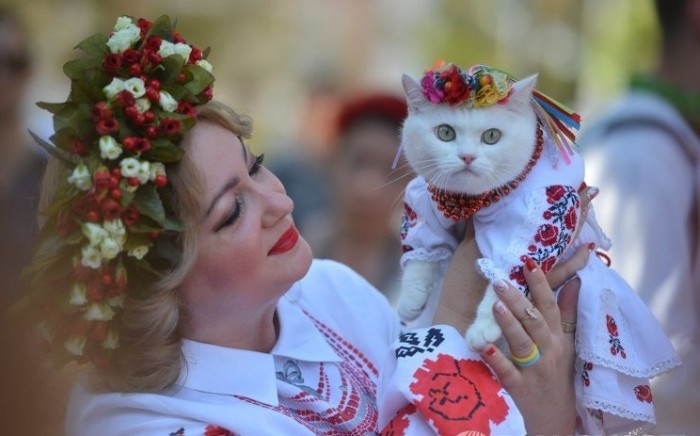 Коротко о ЯПлакал в картинках