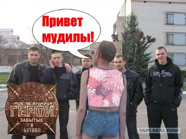 Фотожаба: ТВ программа