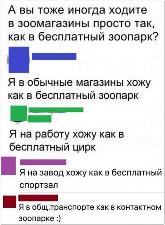 Немного картинок для настроения 06.10.20