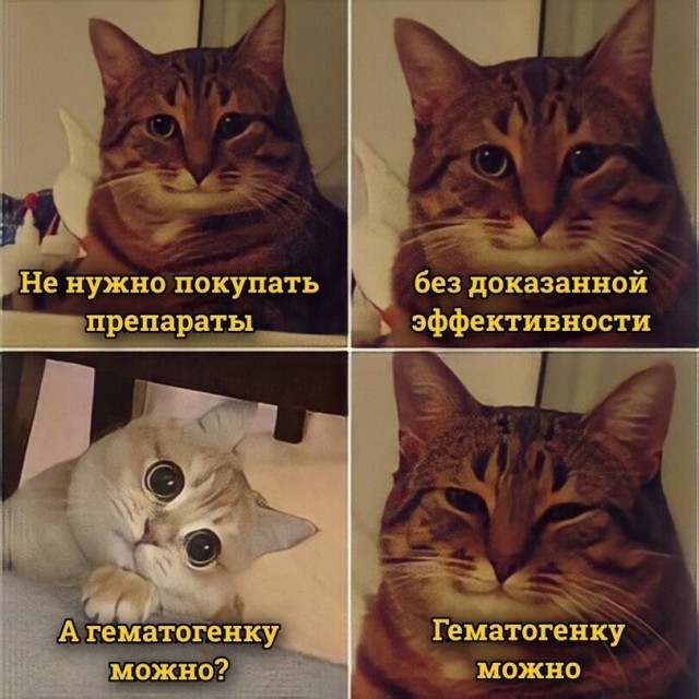 Коты они такие