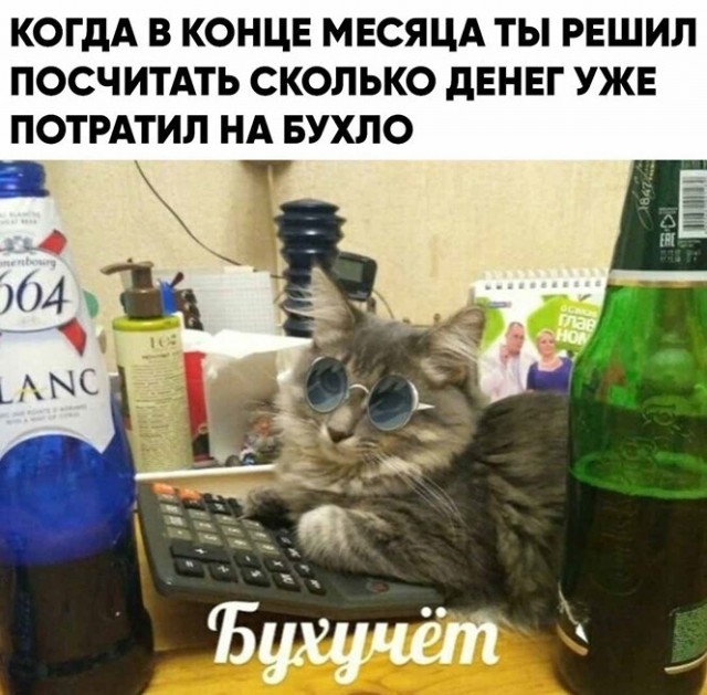 15395303.jpg