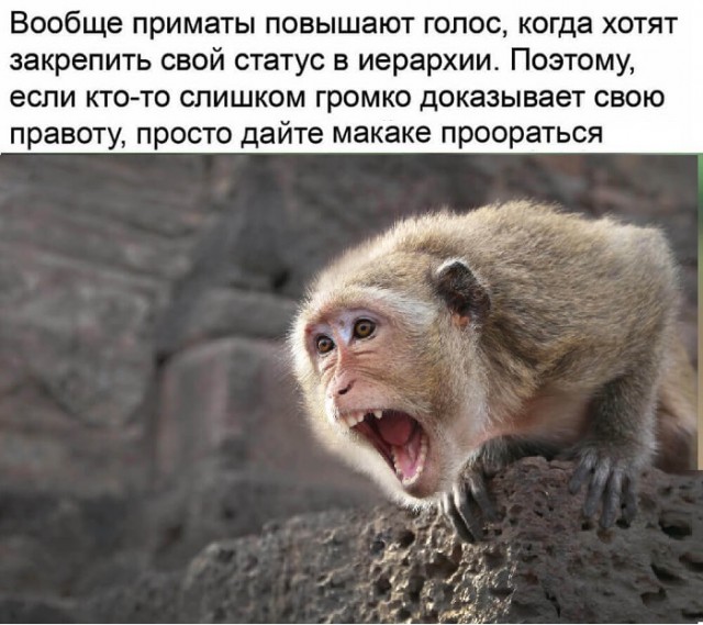 Картинки с надписями и всякие жизненные фразы 06.04.21