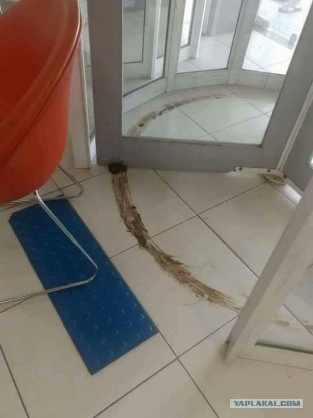 Приколы и чернушка!
