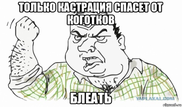 Шпаргалка "Как не стать Аленем"
