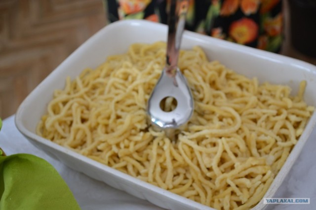 Пятничные посиделки на теплотрассе ©