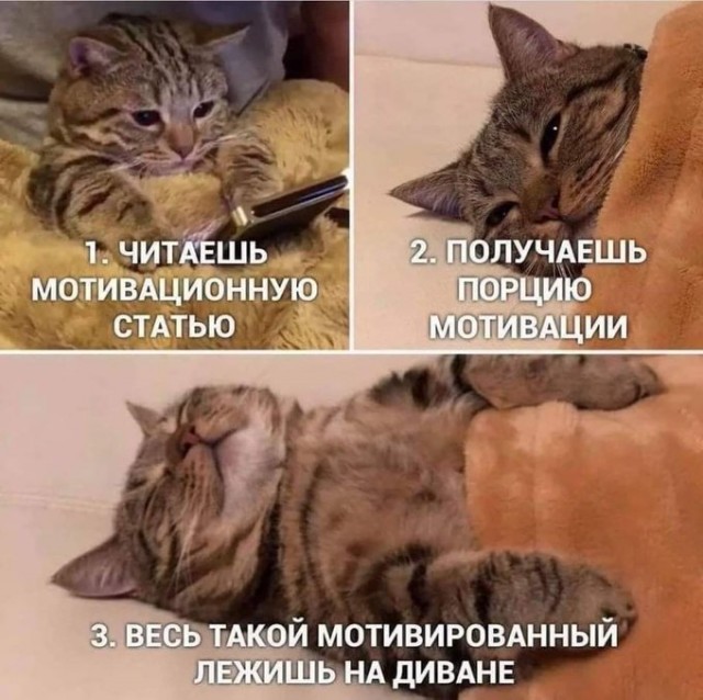 Господа, вы двери!