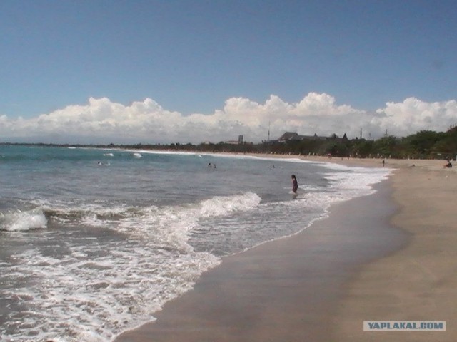 Они живут только 40 лет