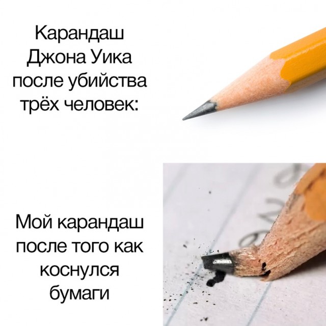 Весёлый полтишок 5.08.22
