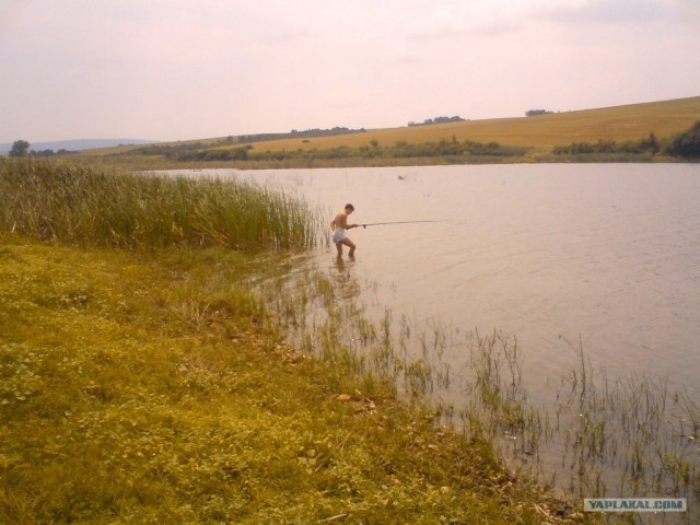Переезд в Болгарию