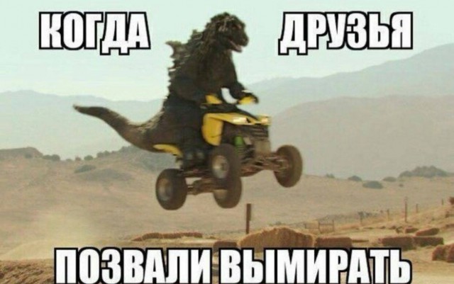 Весёлый полтишок 26.12.2022