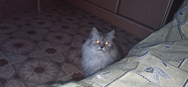 Изюм