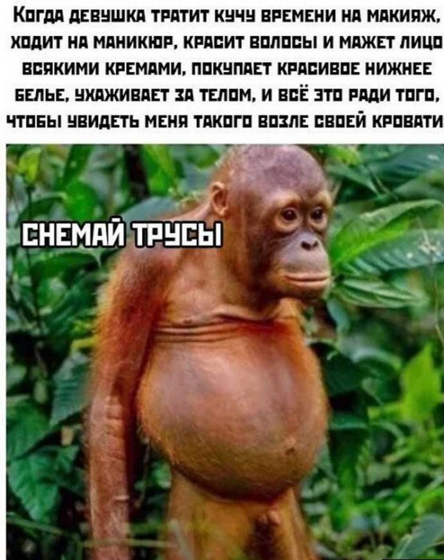 Юмор в картинках и без 23.06