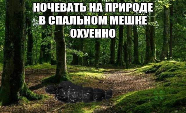 Всего понемногу. От 03.08.23
