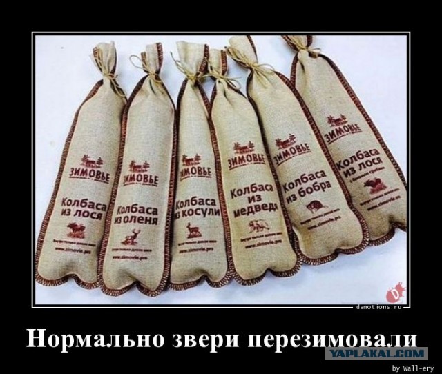 Кто уже пробовал, признавайтесь