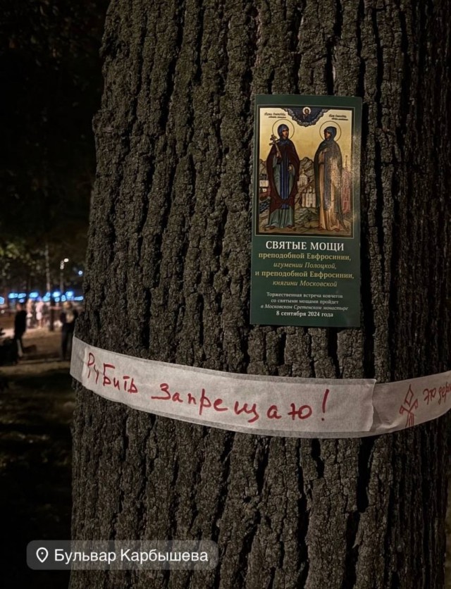 Жители запада Москвы организовали дежурства, чтобы защитить свой район от вырубки деревьев.