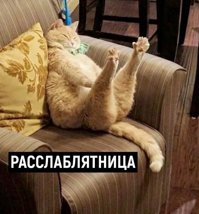 Так себе картинки 28.10.24