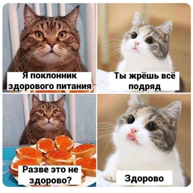 Давайте опубликуем