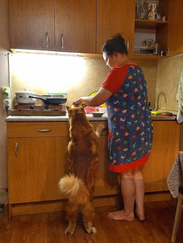 Поглощающая тьма