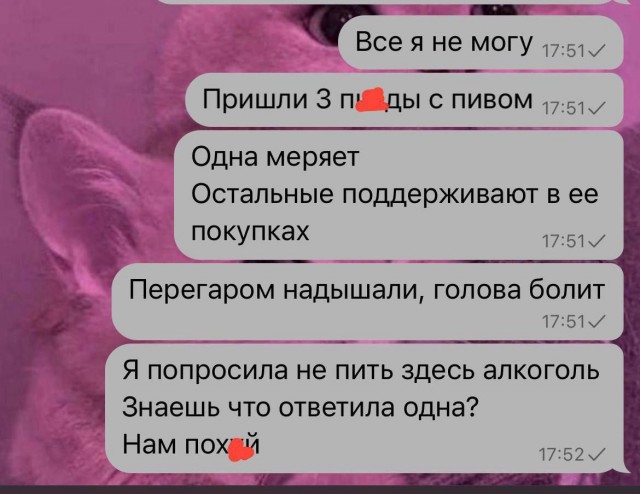 Всего понемногу. От 14.02.2025