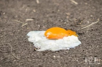 Вильфанд опроверг прогнозы о самом жарком лете в 2025 году