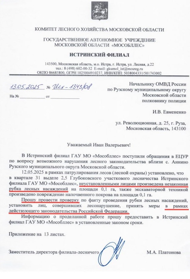 Краснокнижный аист прилетел на вырубку леса искать своё гнездо