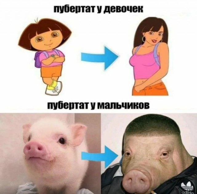 Веселые картинки в понедельник (24.11)