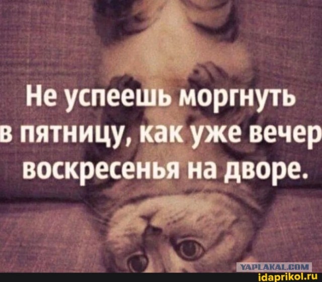 Картинки для деградации 101 (разной степени свежести)
