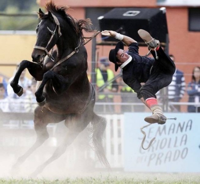 Подборка фотографий из серии " За секунду до.."