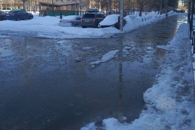 Обильное половодье прогнозируют синоптики в Москве